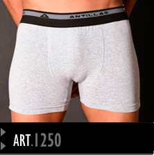 Boxer Antillas